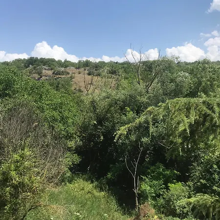 Apartamento Forconium *