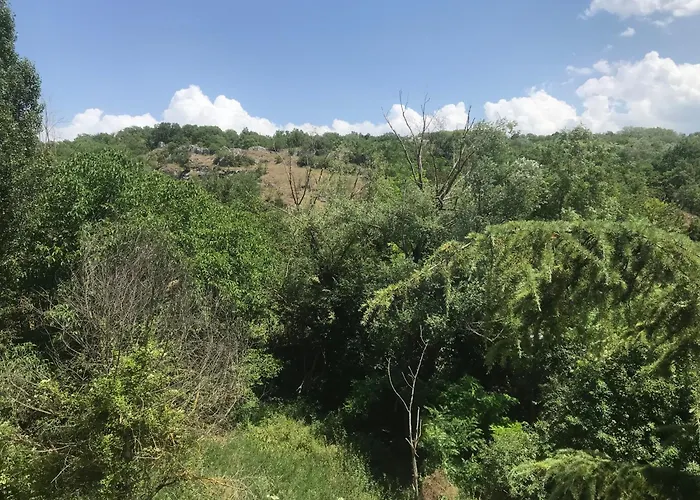 Apartamento Forconium *